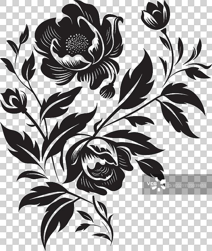 乌木优雅之谜与时尚花卉图片素材