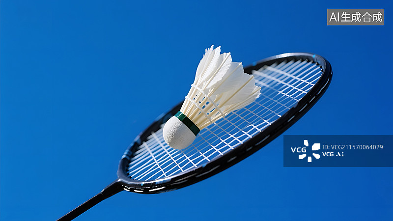 【AI数字艺术】羽毛球拍上的羽毛球特写图片素材