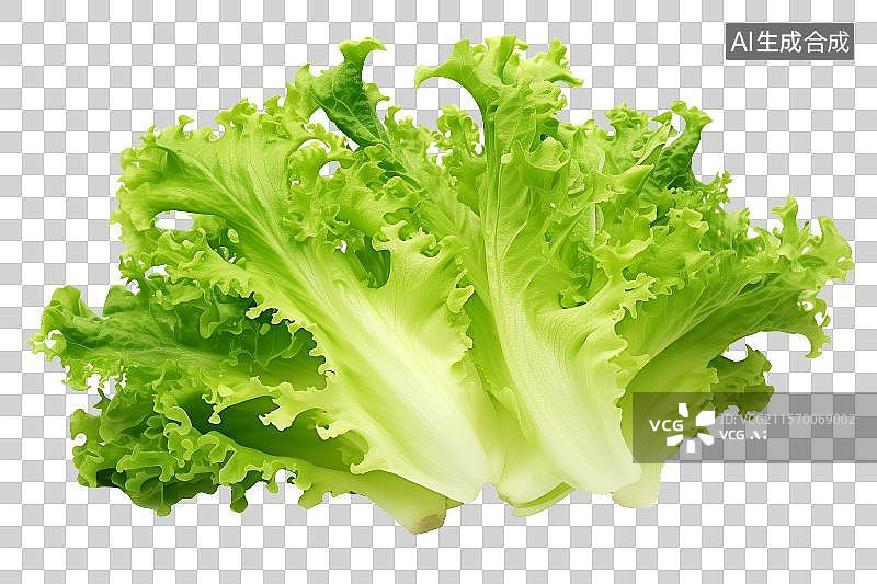 【AI数字艺术】免扣元素一棵娃娃菜图片素材