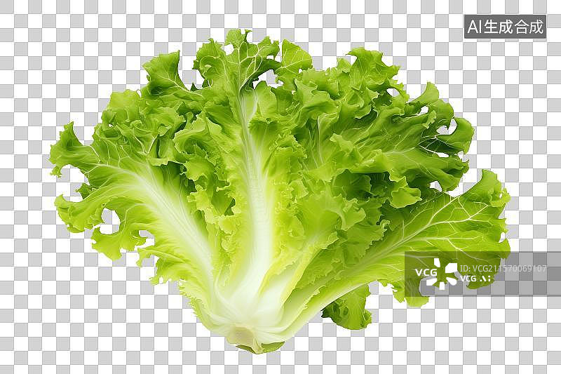 【AI数字艺术】免扣元素一棵娃娃菜图片素材