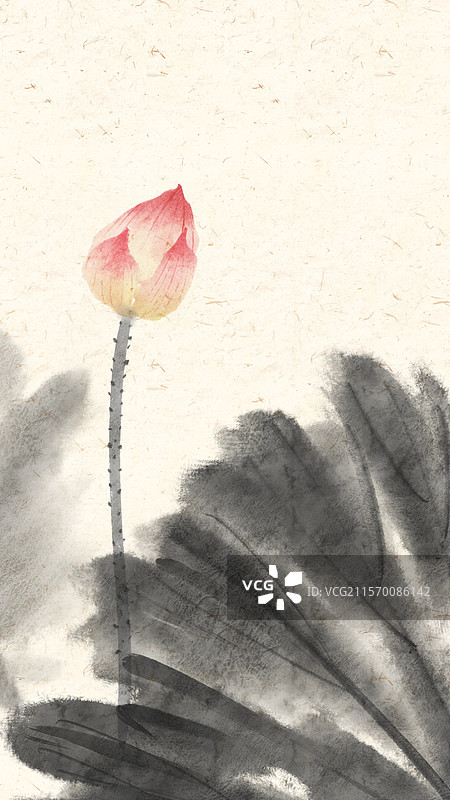 荷花国画手机壁纸图片素材