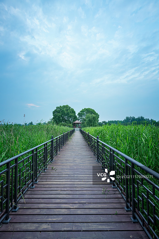 老子故里道源小镇+安徽省亳州市涡阳县图片素材