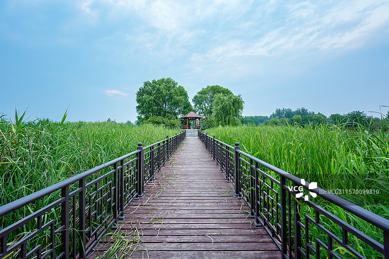 老子故里道源小镇+安徽省亳州市涡阳县图片素材