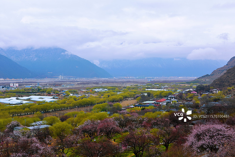 春到桃花村图片素材