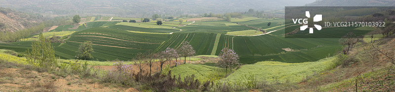 河南省洛阳市洛宁县马店镇官庙村田园春色风光图片素材