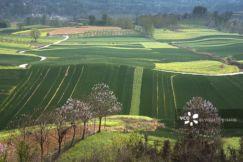 河南省洛阳市洛宁县马店镇官庙村田园春色风光图片素材