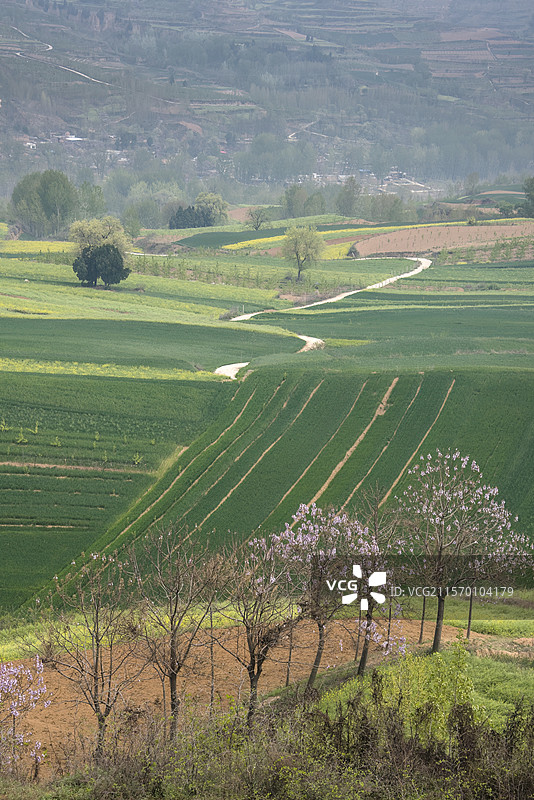 河南省洛阳市洛宁县马店镇官庙村田园春色风光图片素材