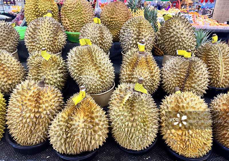 金枕榴莲热带水果图片素材