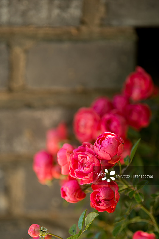 门头沟，从韭园到九龙山徒步图片素材