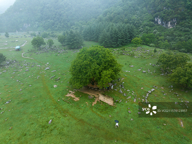 狮子沟牧场·雨雾图片素材