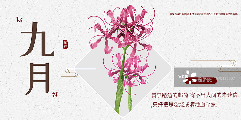 九月花卉石蒜花插画展板图片素材