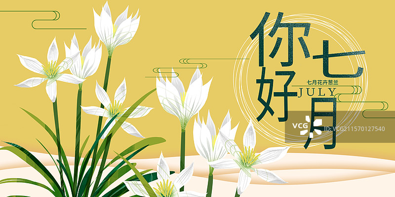 七月花卉葱兰插画展板图片素材