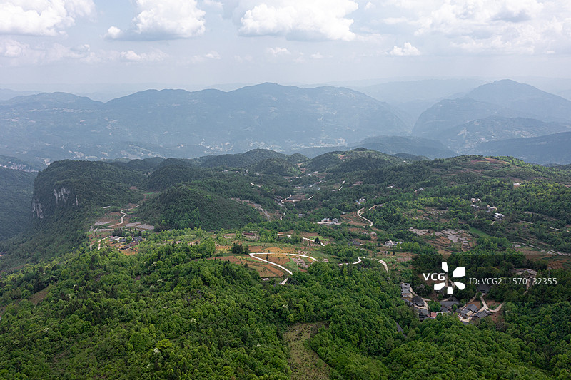云海茶山图片素材