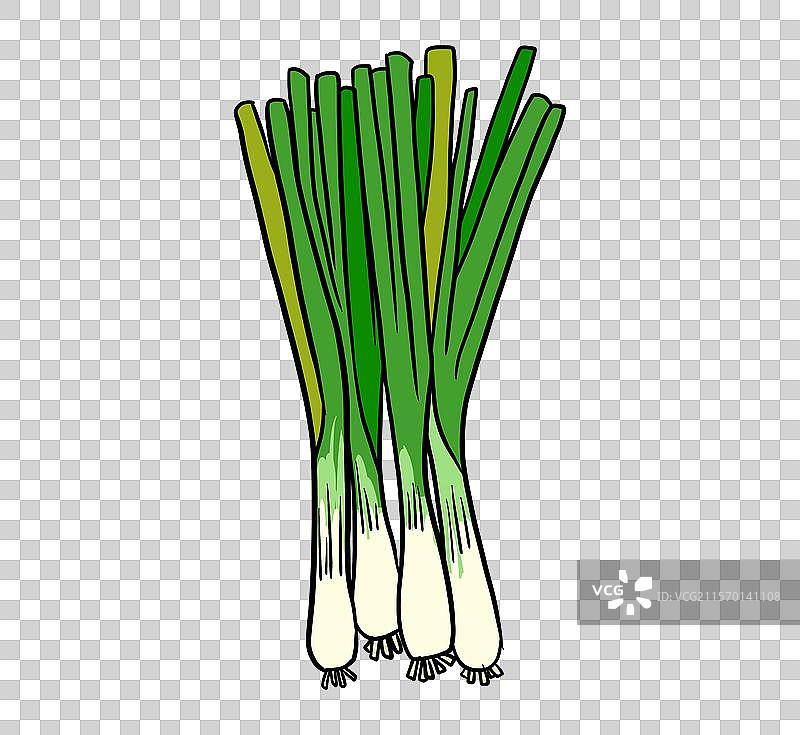 手绘小葱蔬菜插画元素图片素材