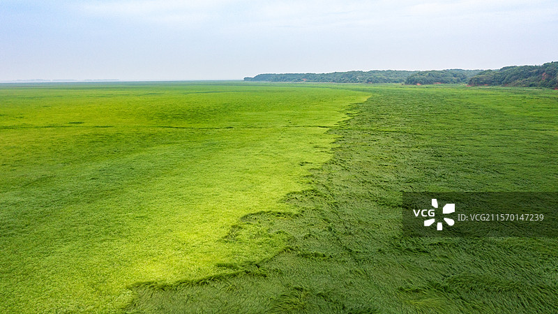 航拍江西九江鄱阳湖湿地风光图片素材