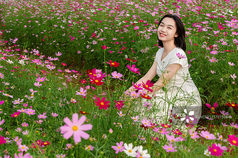格桑花海中的中国年轻女子图片素材