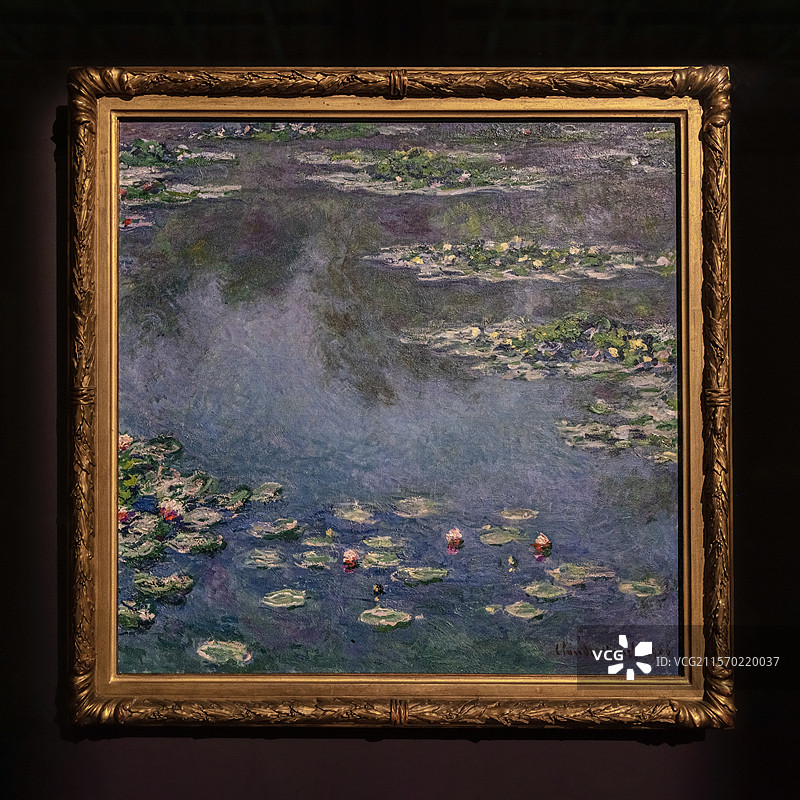 芝加哥艺术博物馆藏法国画家莫奈作品睡莲图片素材