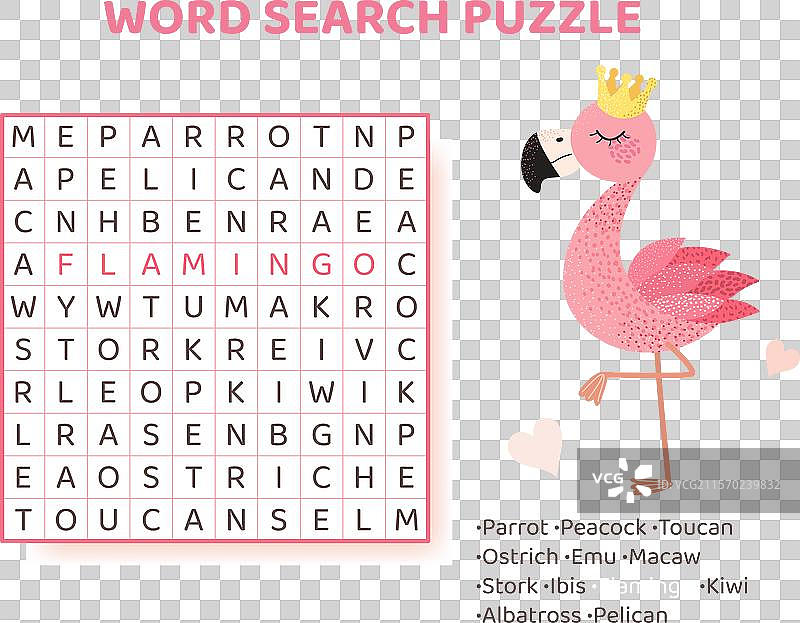 鸟类单词搜索谜题图片素材