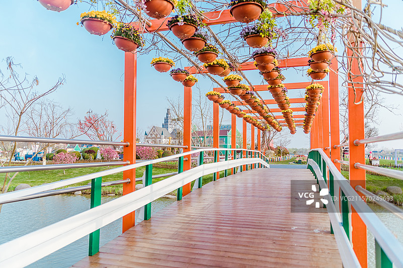 江苏盐城大丰荷兰花海春日风景图片素材