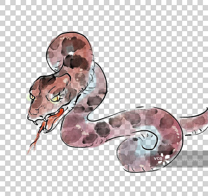 危险的张嘴攻击的大蛇水墨插画图片素材