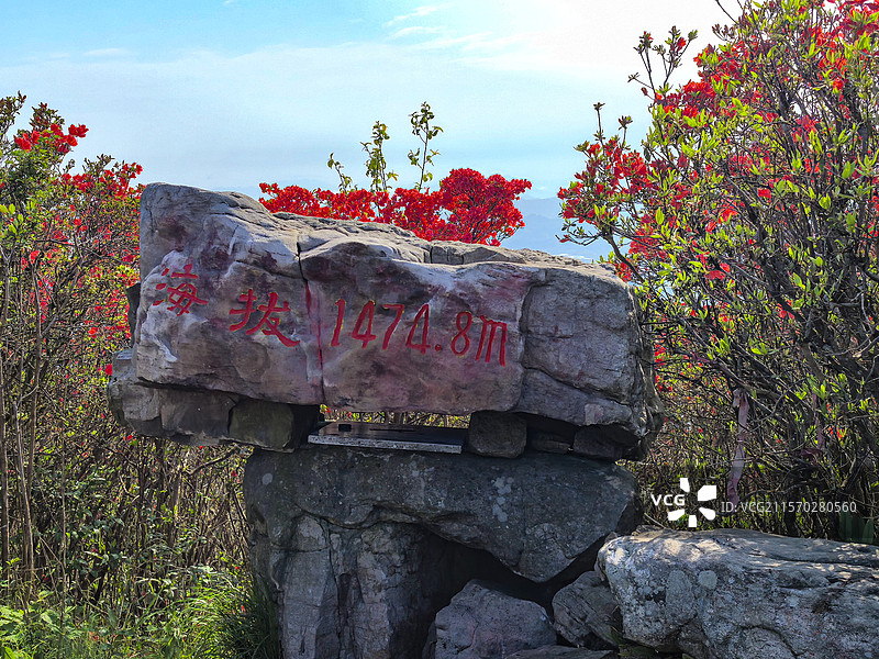 中国贵州黔东南丹寨龙泉山的杜鹃花，龙泉山蚩尤文化公园，丹寨龙泉山图片素材