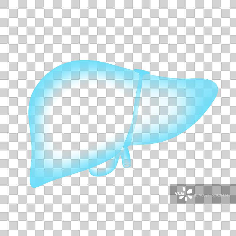 世界肝炎日全国爱肝日医疗健康保健护肝扫描x光蓝色医疗图片素材