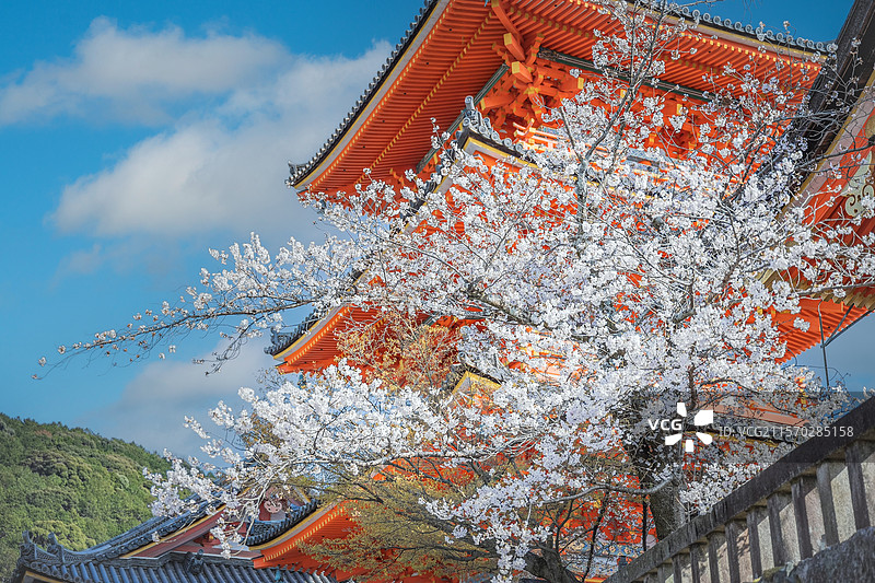 清水寺图片素材