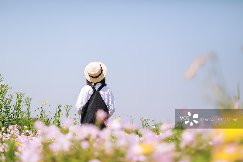 花海中的女孩背影图片素材