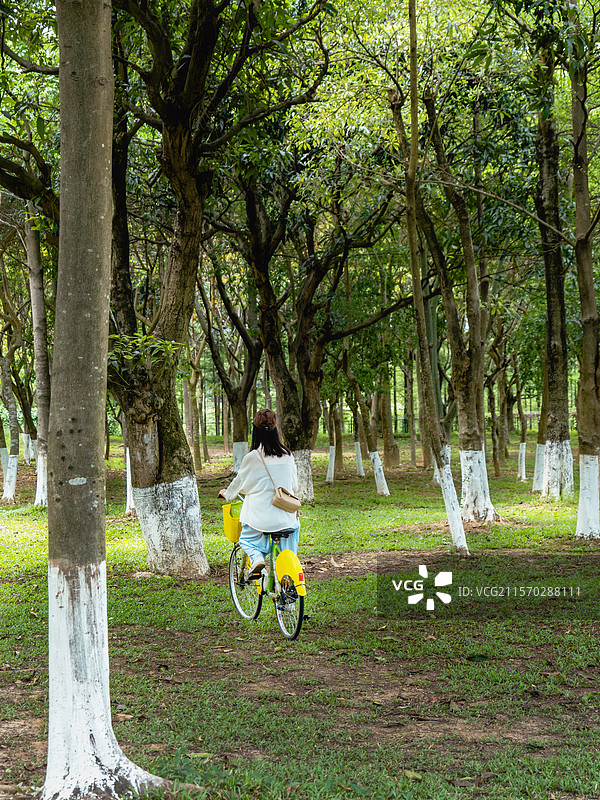 公园树林骑自行车图片素材