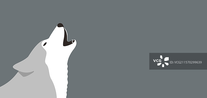 灰狼咆哮, 矢量图图片素材