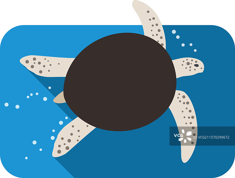 海龟在海里游泳, 平面图矢量图片素材