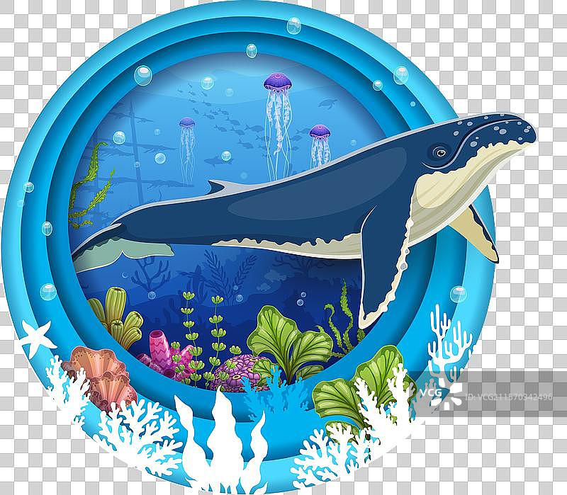 卡通抹香鲸在水下景观框架中图片素材