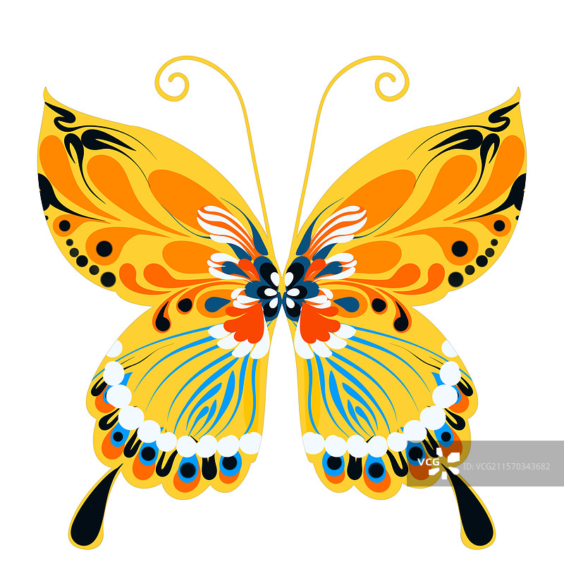 白色背景下彩色蝴蝶的特写镜头图片素材