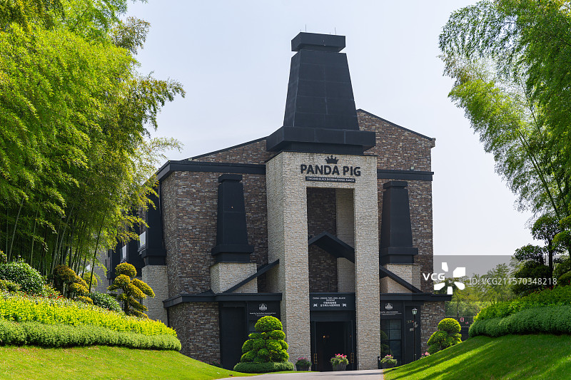 金华熊猫猪猪两头乌国际牧场图片素材