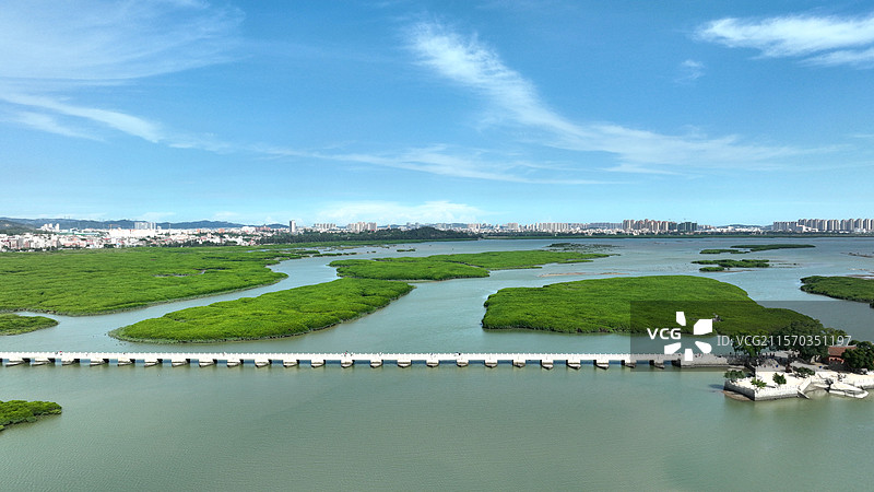 航拍，福建泉州，洛阳桥与红树林图片素材