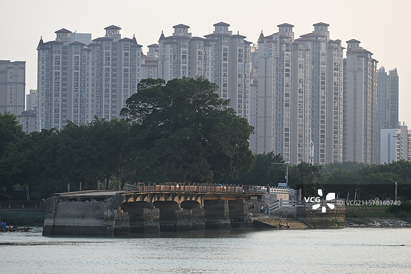 泉州旧顺济桥遗址与各种水鸟图片素材