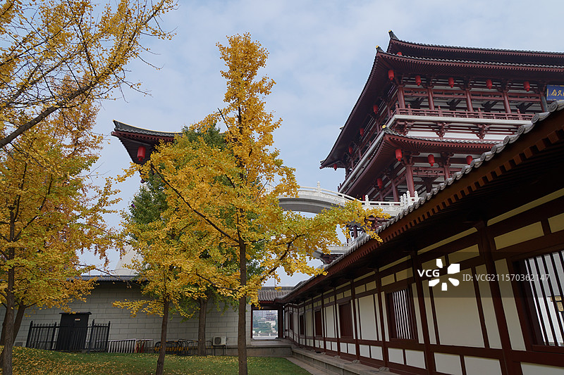 西安大唐芙蓉园秋天风光图片素材