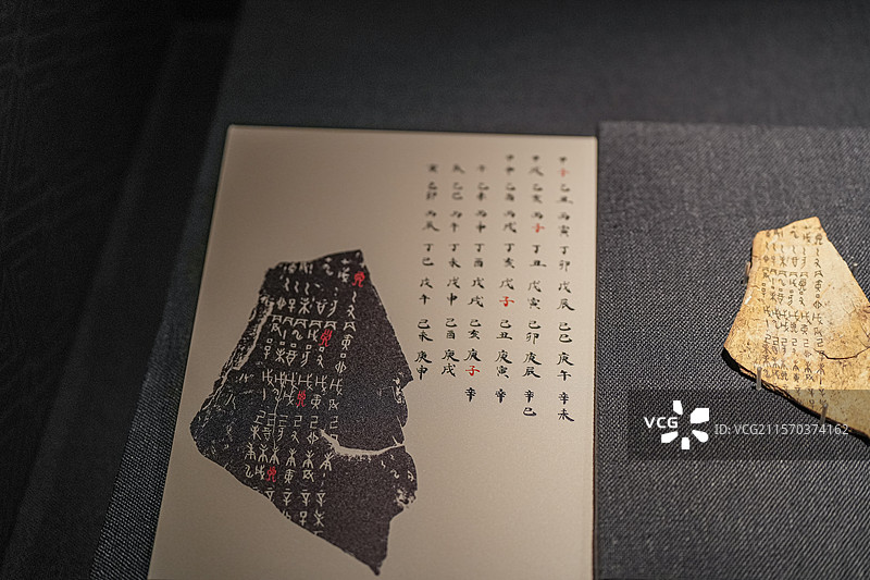 商帝乙 帝辛 甲子刻辞骨 天津博物馆图片素材