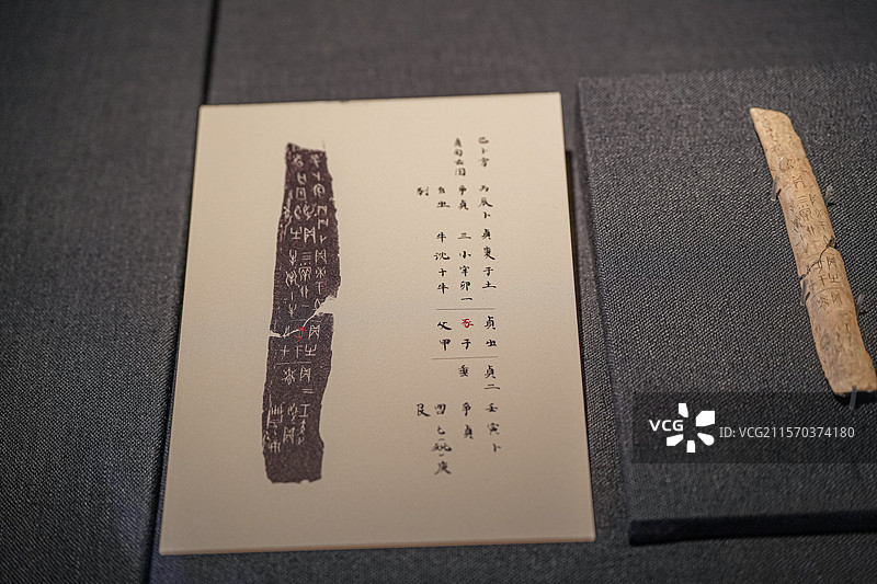 商武丁 出豕于父甲卜骨 天津博物馆图片素材