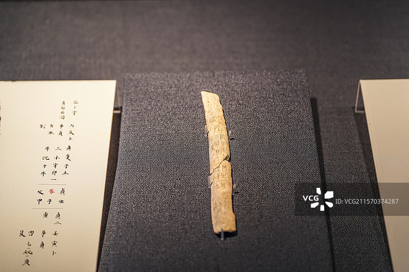 商武丁 出豕于父甲卜骨 天津博物馆图片素材