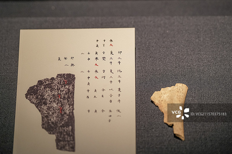 商武丁 文丁 禾于河卜骨 天津博物馆图片素材