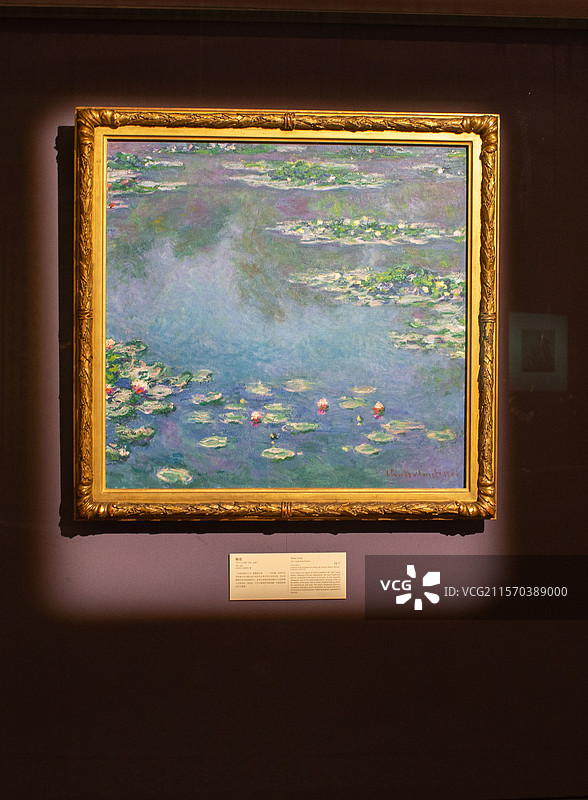 故宫博物院乐林泉莫奈睡莲图片素材