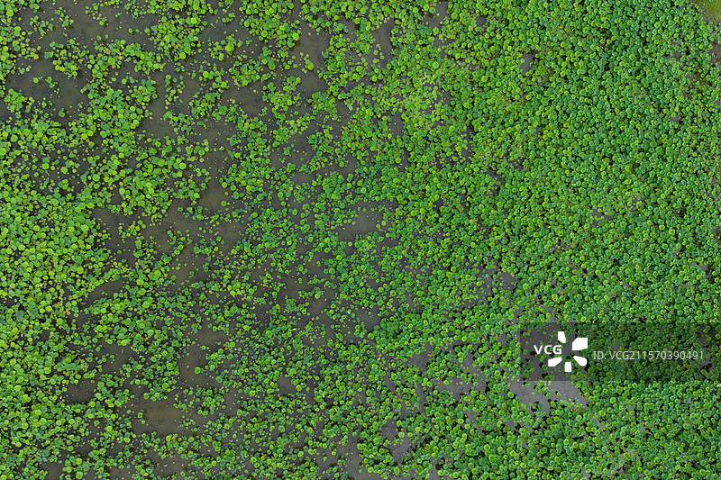 航拍夏日的曾国藩故居富厚堂图片素材