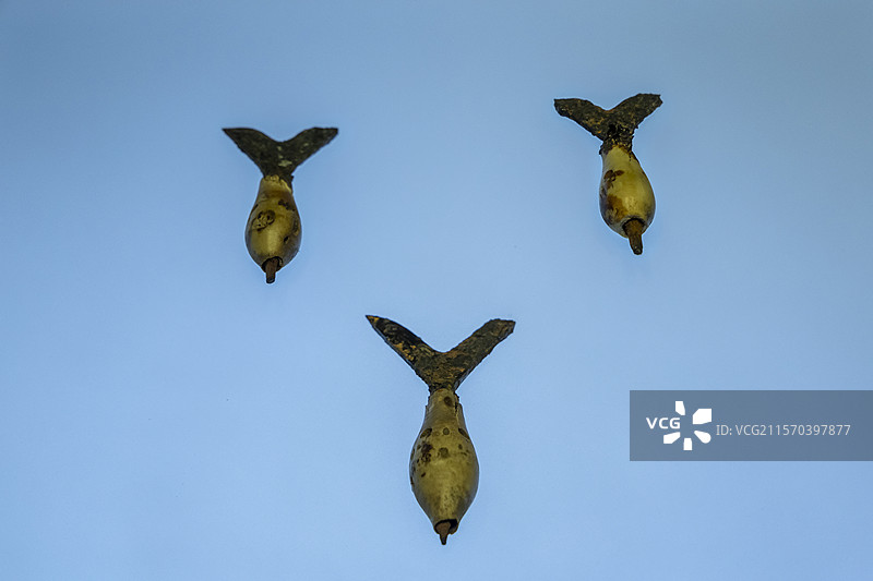 内蒙古博物院“大辽契丹”展：骨鸣镝（辽，赤峰市松山区大营子村驸马赠卫国王墓出土，内蒙古博物院藏）图片素材