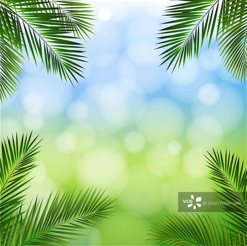 绿色热带树枝，背景为孤立状态图片素材