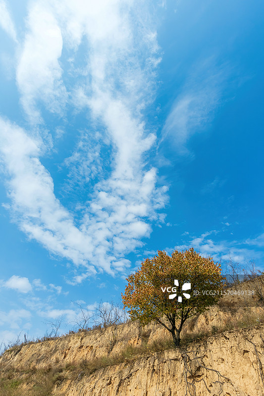 山西吕梁临县碛口古镇李家山风光图片素材