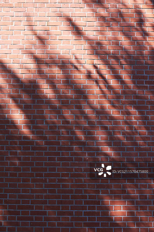 红砖墙（先锋纪念堂）图片素材