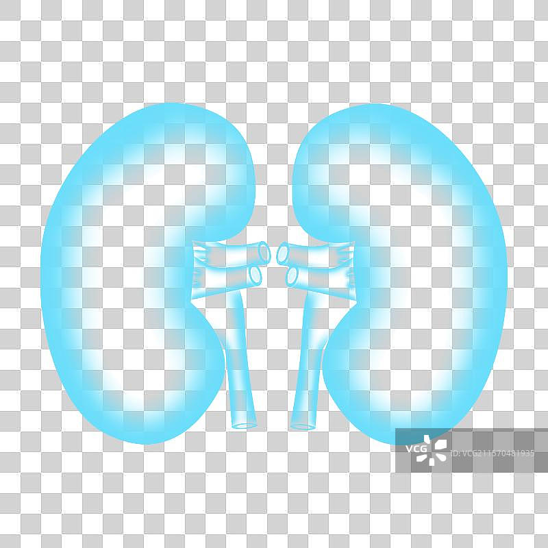 世界肾脏日医疗养肾护肾肾衰竭肾脏扫描x光蓝色医疗图片素材