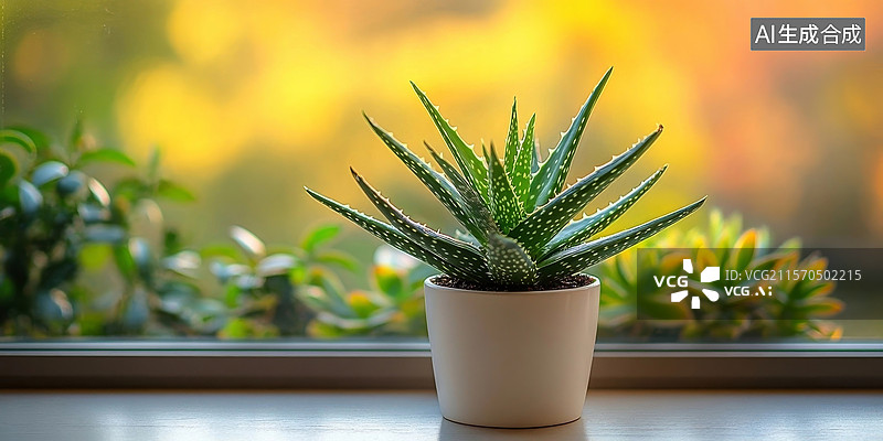 【AI数字艺术】窗台上的小盆栽图片素材