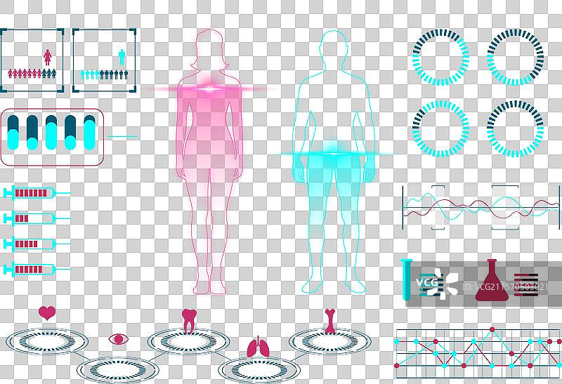 医疗信息图表：女性与男性的统计图表图片素材